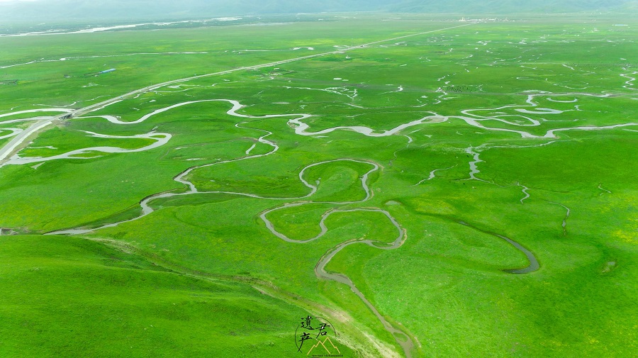 阿万仓湿地6.jpg