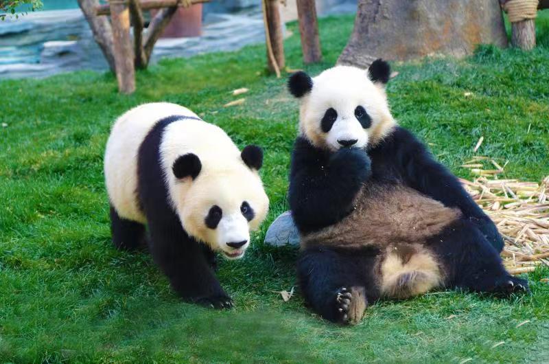 行程美图
